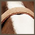 Horse 1