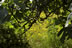 Bild05 