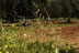 Bild12 