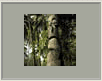 Tiki Hiva Oa 5