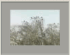 Nebel2