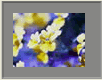 Fensterblumen